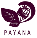 PAYANA BLOG